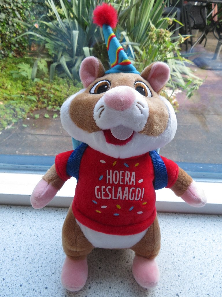Hamster van AH Albert Heijn met HOERA GESLAAGD, Albert Heijn, Hamster, Ophalen of Verzenden, Zo goed als nieuw