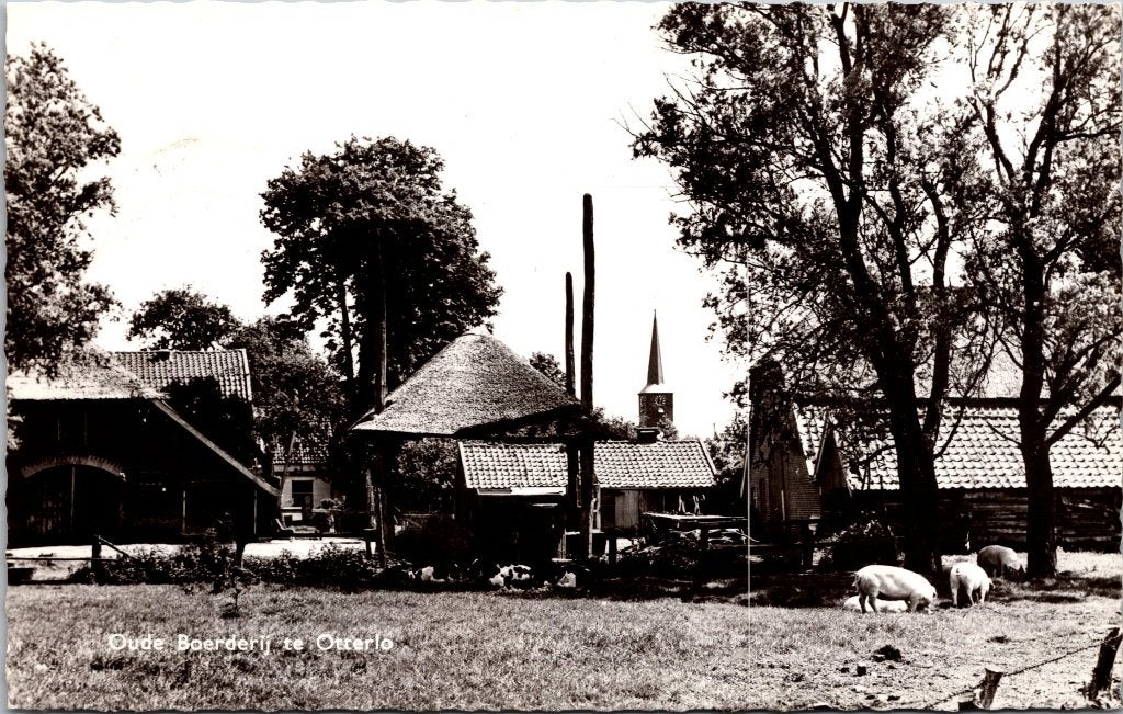 Otterlo - 12 oude ansichtkaarten I, Verzenden, 1940 tot 1960, Gelopen, Gelderland