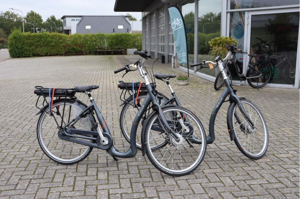 Stella Nantes l Seniorenfiets l 705wh l 1480 & 1470km l 2 x!