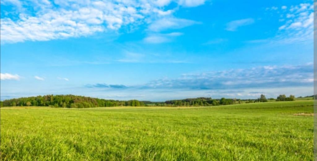 Bijrijder gezocht voor draver ruin–omgeving Bussum/H'meent, Dieren en Toebehoren, Stalling en Weidegang