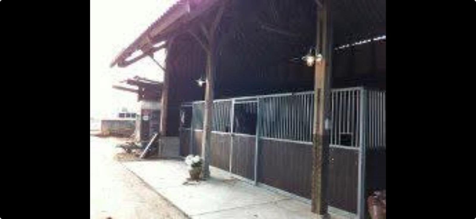 Paardenboxen te koop