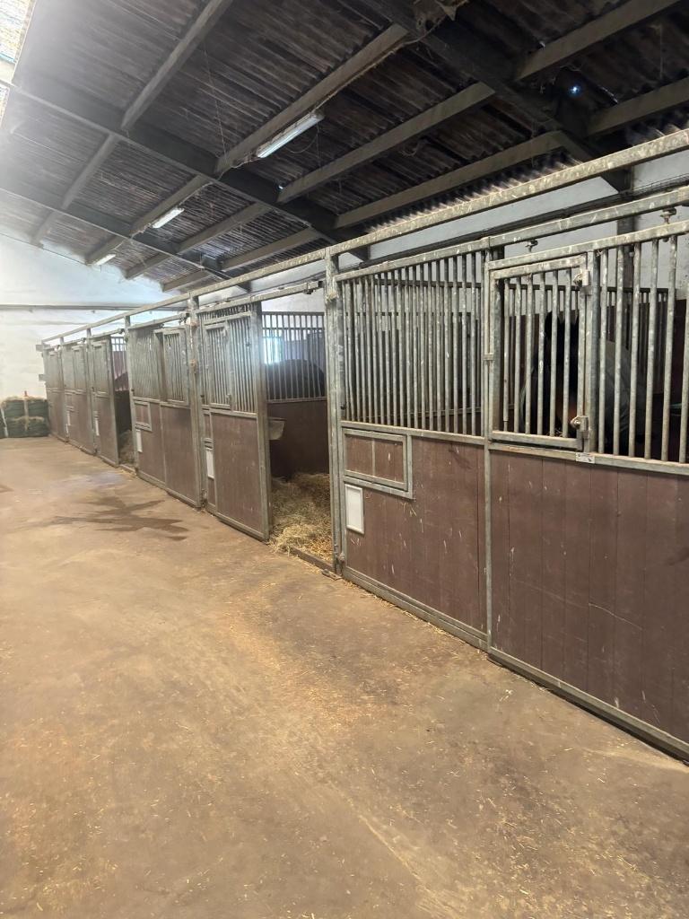 Diverse Boxwanden Paardenstallen te koop, Dieren en Toebehoren, Ophalen, Gebruikt