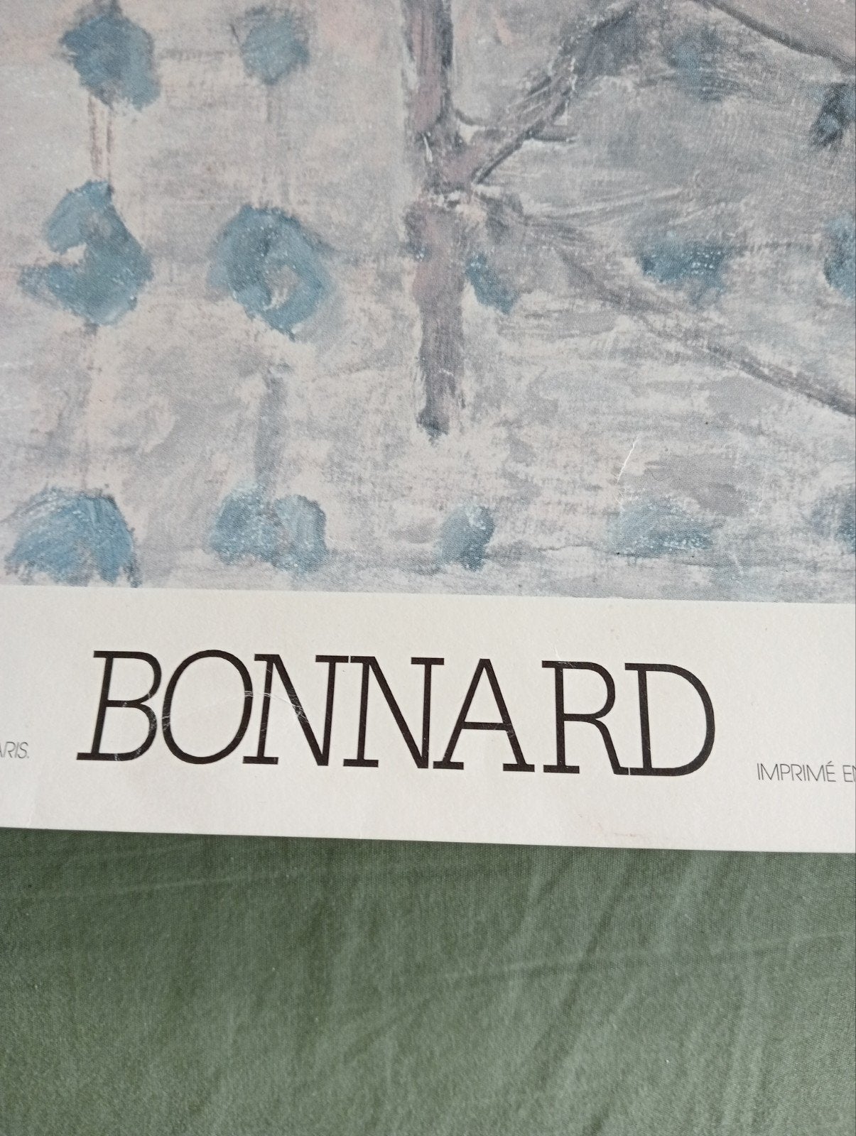 Pierre Bonnard poster naakt erotiek, Ophalen of Verzenden, Gebruikt, A1 t/m A3, Film en Tv