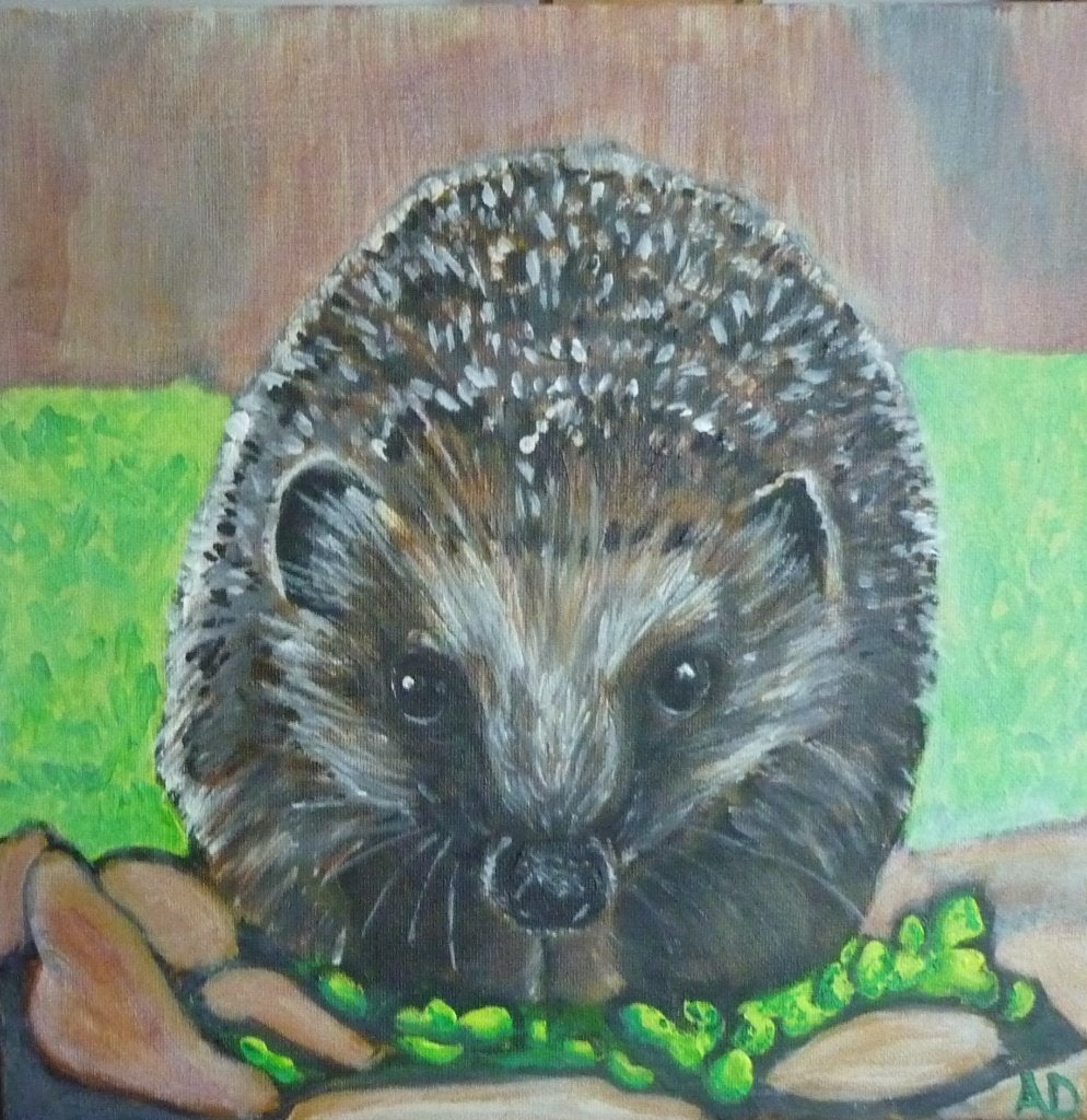 Egel, Acrylverf, Handgeschilderd, Ophalen of Verzenden, Dieren