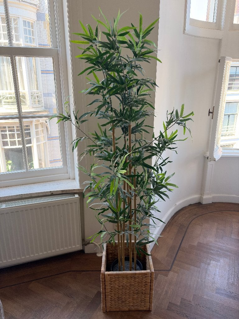 IKEA FEJKA kunstplant met LABBSAL mand, Huis en Inrichting, Woonaccessoires | Kunstplanten en Kunstbloemen, Binnen, Groen, Kunstplant