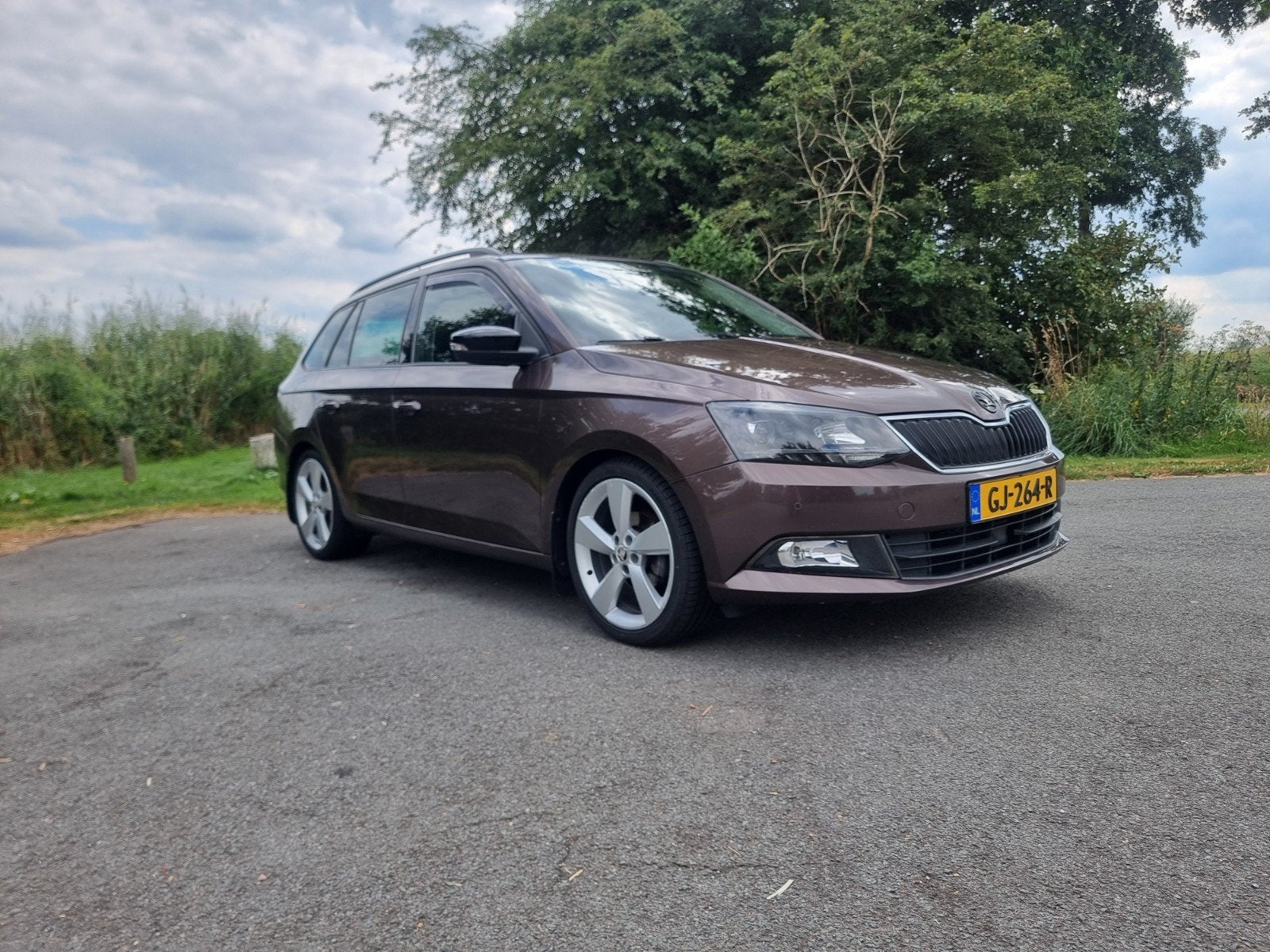 Skoda Fabia 1.2 TSI 90pk Greentech 2015 Bruin, Auto's, Stof, 40 €/maand, Zwart, 4 cilinders