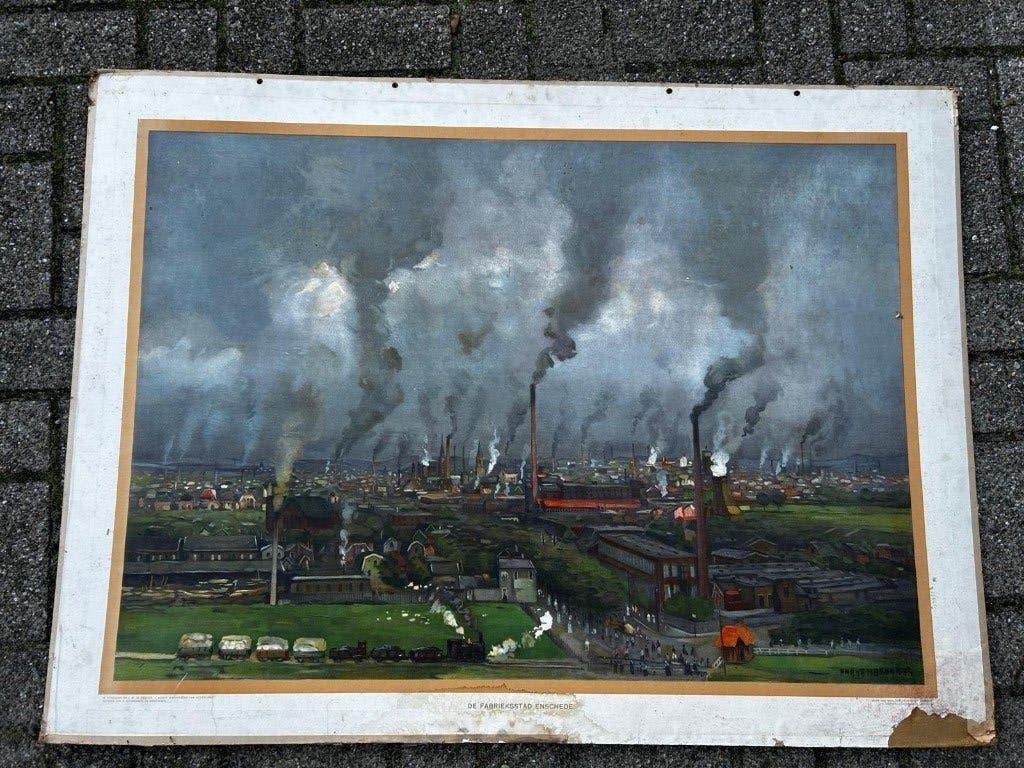 Een industriestad Enschede, Ophalen of Verzenden, Natuur en Biologie