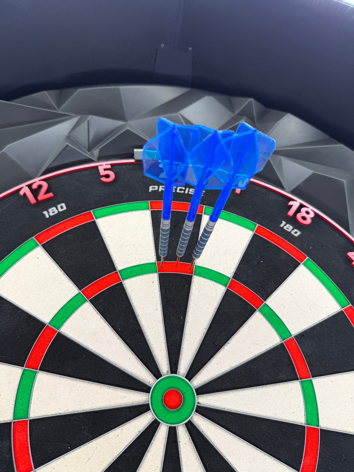 Darts 26 g ROBERT THORNTON - SENIORS WORLD CHAMPION, Sport en Fitness, Ophalen of Verzenden, Gebruikt, Pijlen