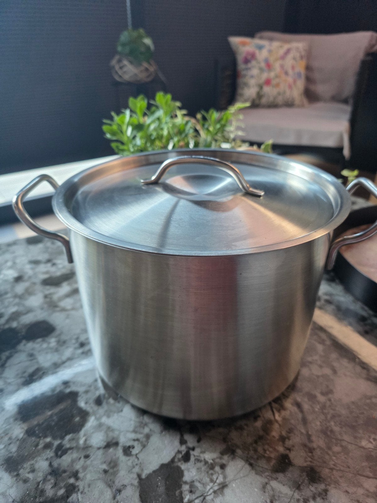 The Good Food Factory Kookpan RVS met deksel, Gebruikt, Ophalen of Verzenden, Rvs, Kookpan