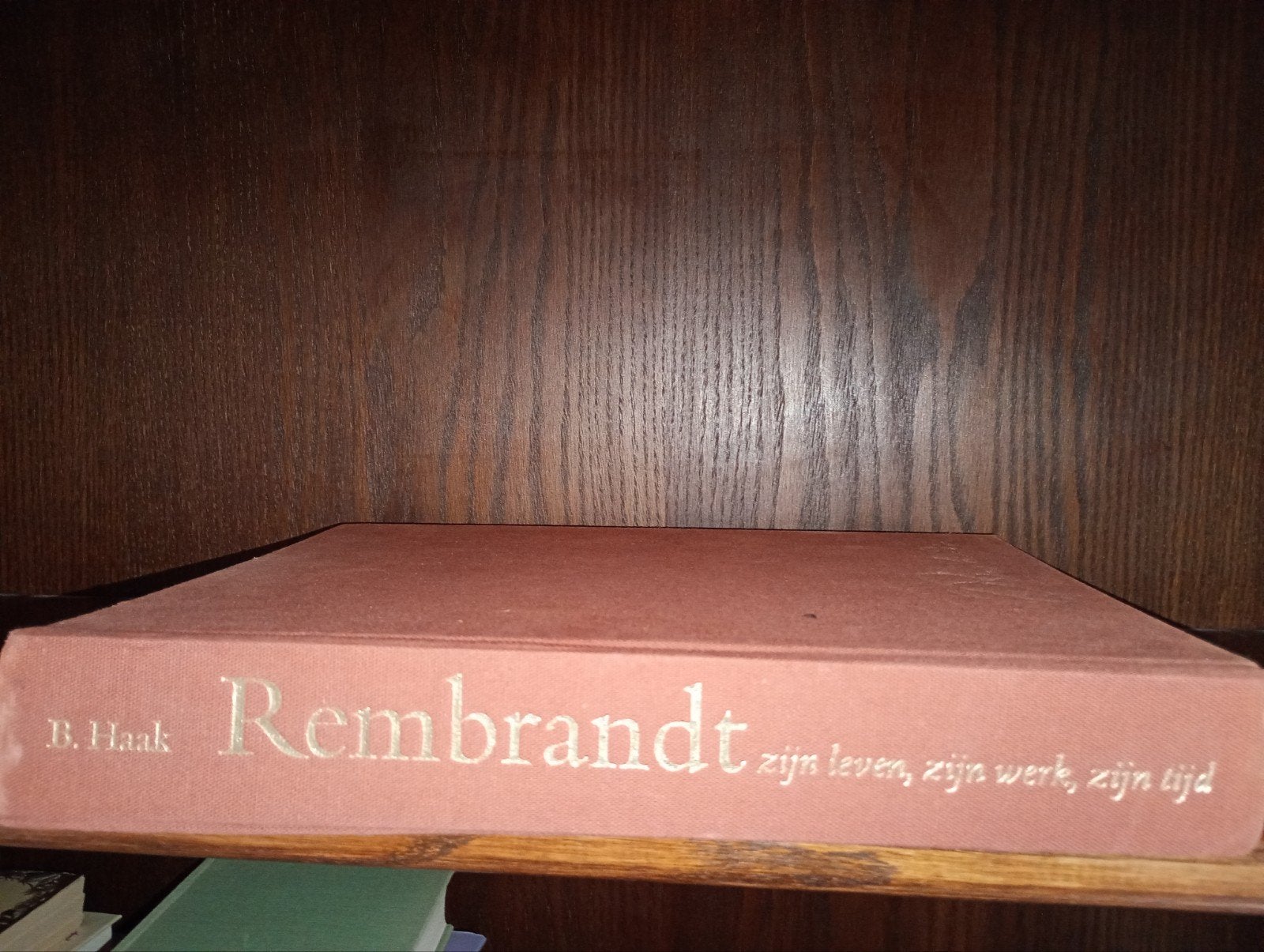 Rembrandt: Zijn leven, zijn werk, zijn tijd - B. Haak, Ophalen of Verzenden, Gelezen, Schilder- en Tekenkunst, B. Haak