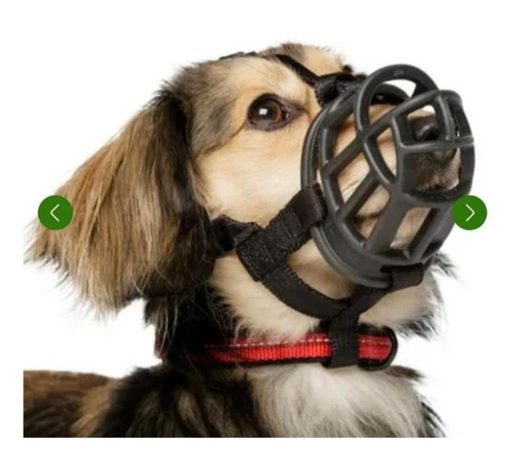 Honden muilkorfje, Ophalen of Verzenden, Nieuw