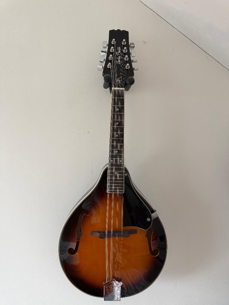 Harley Benton HBMA-50 Mandoline VS w/Bag, Muziek en Instrumenten, Snaarinstrumenten | Mandolines, Ophalen of Verzenden, Zo goed als nieuw