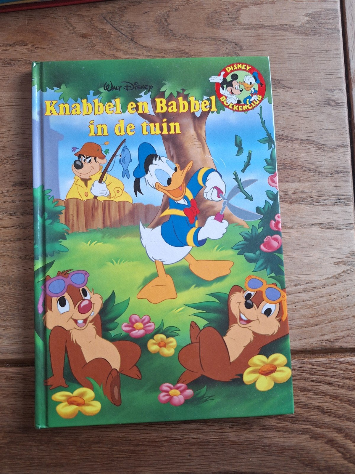 Knabbel en babbel, Ophalen of Verzenden, Gelezen, Fictie algemeen