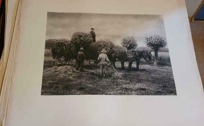 90 stuks oude boerderij prenten" hooiwagen" anno 1900 teab, Ophalen of Verzenden, Voor 1940, Gebruikt