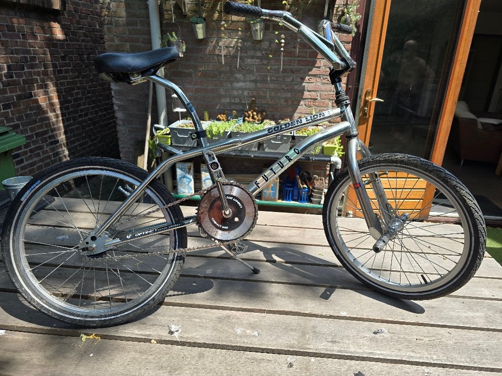 BMX, Golden Lion (Futuro), Zilver, 20 Inch., Ophalen, Terugtraprem, Gebruikt, Staal