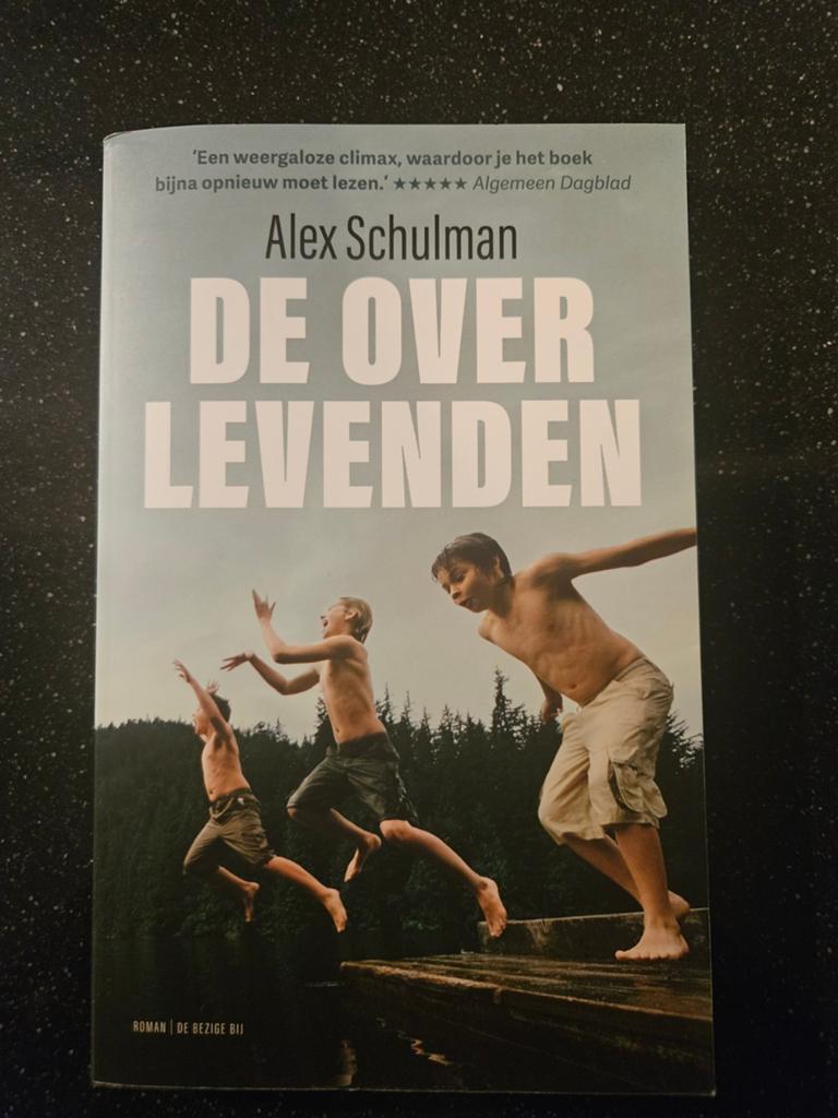 De Overlevenden - Alex Schulman (Roman), Boeken, Ophalen of Verzenden, Zo goed als nieuw, Alex Schulman, Europa overig