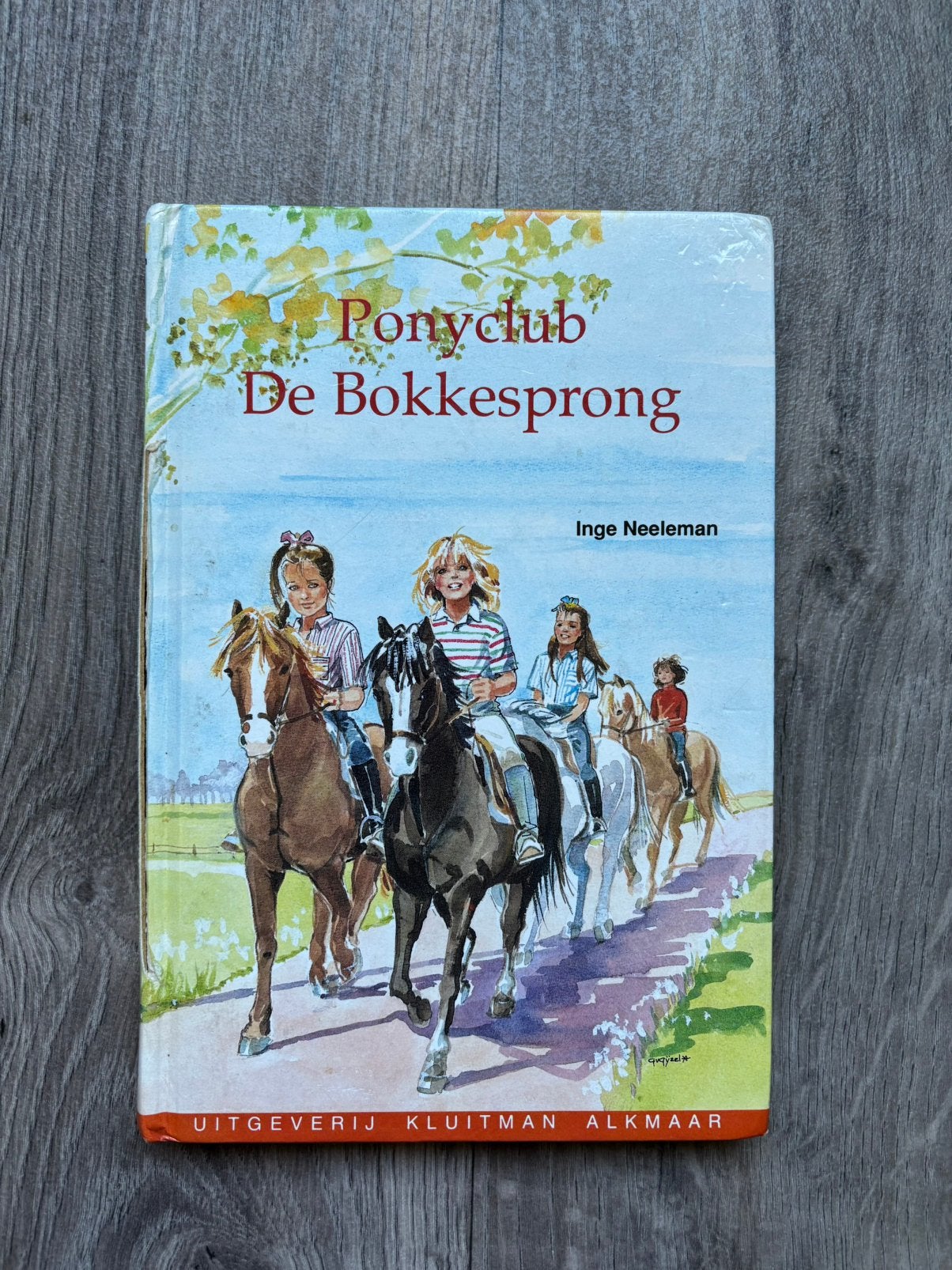leesboek Ponyclub De Bokkesprong - tot 10jr, Ophalen of Verzenden, Gelezen, Fictie algemeen