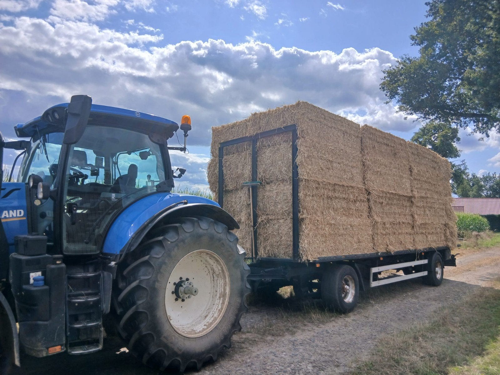 stro. strobalen. strobaaltjes. grote balen stro