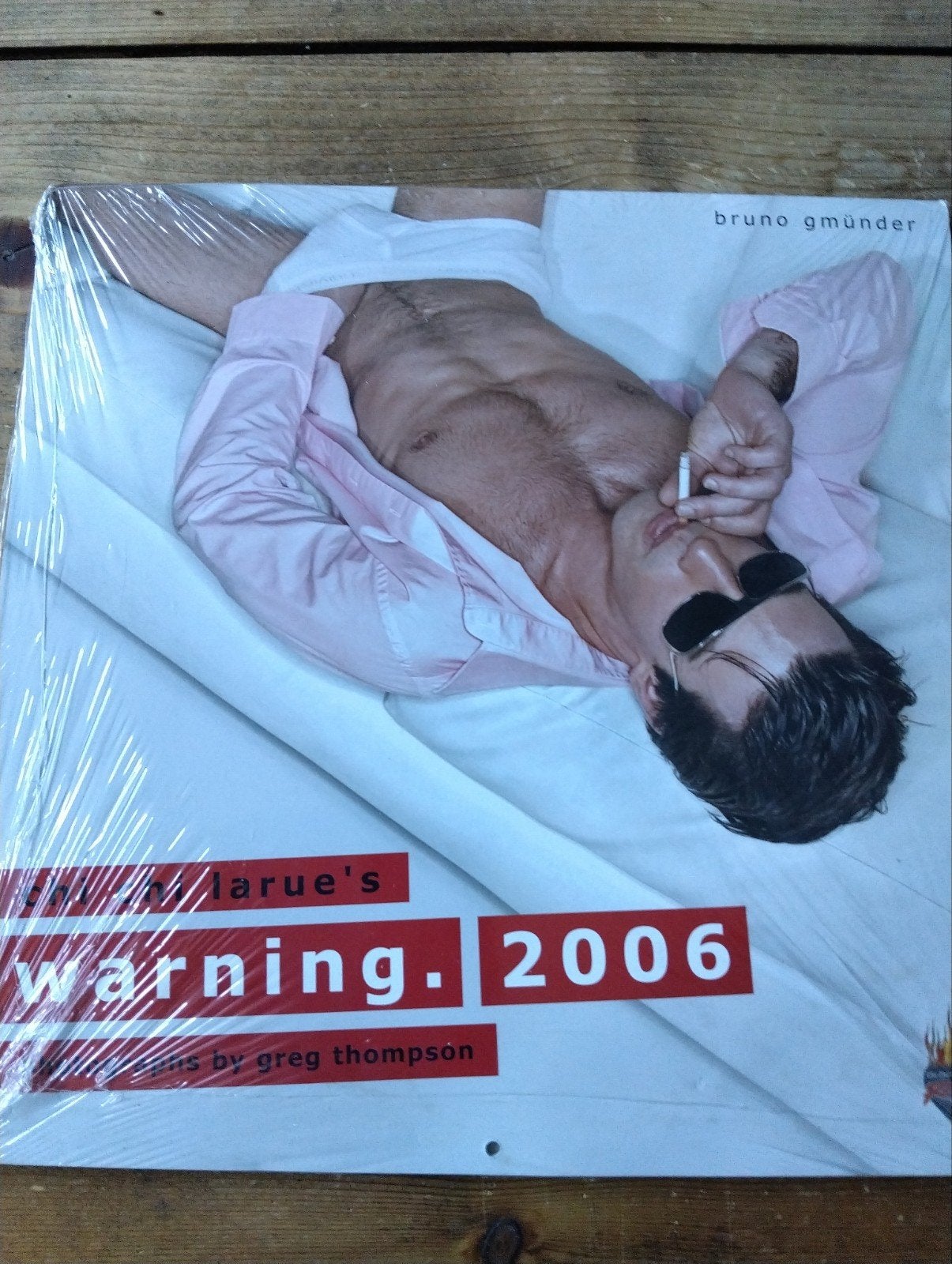 Gay, homo. Chi LaRue's Warning 2006 kalender. Nieuw in seal., Ophalen of Verzenden, Maandkalender, Nieuw