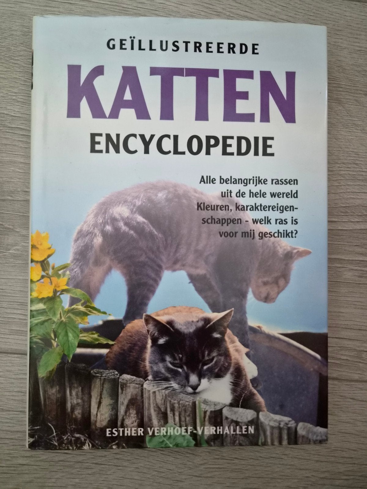 Geïllustreerde Katten Encyclopedie - Esther Verhoef, Boeken, Ophalen of Verzenden, Gelezen, Katten, Esther Verhoef-Verhallen