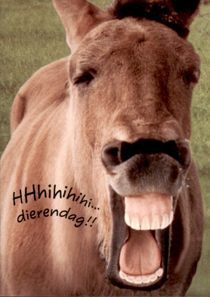 hihihihi, dierendag, paard, Verzamelen, Ophalen of Verzenden, 1980 tot heden, Ongelopen, Paard