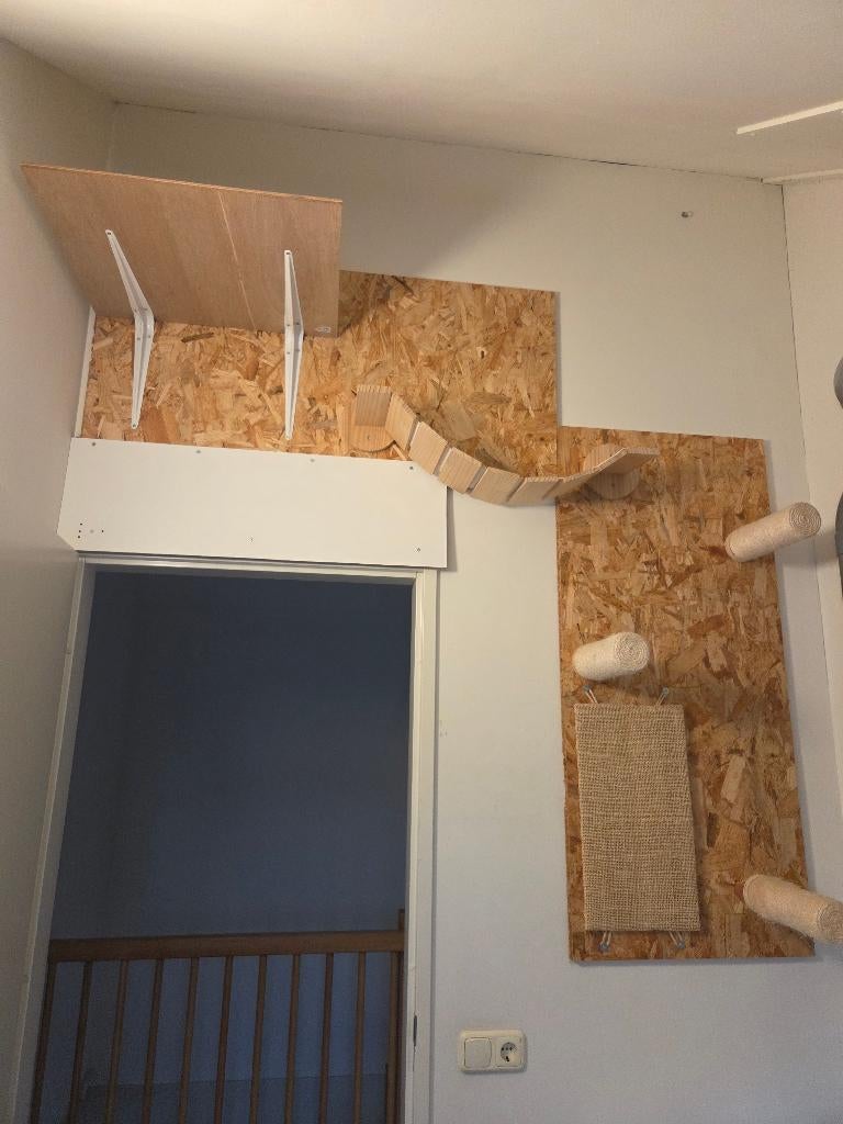 Klimwand katten krabpaaltjes, brug, ligplank, krabplanken, Ophalen, Krabpaal