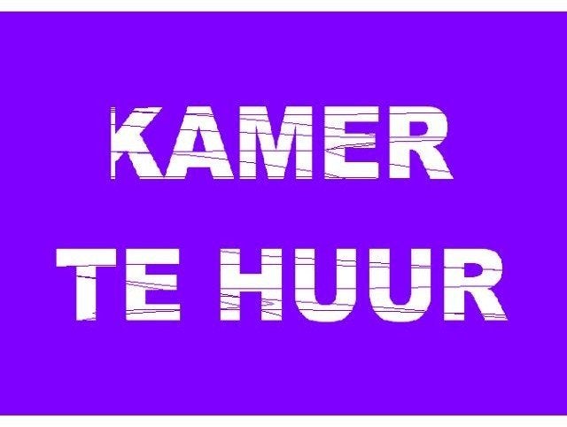 Te huur per direct kamer te Bergen op zoom
