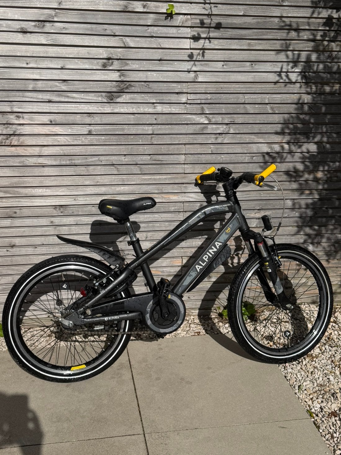 Alpina Trial 20 inch jongensfiets – vering, slot en licht, Ophalen, 20 inch, Trommelrem, Handrem