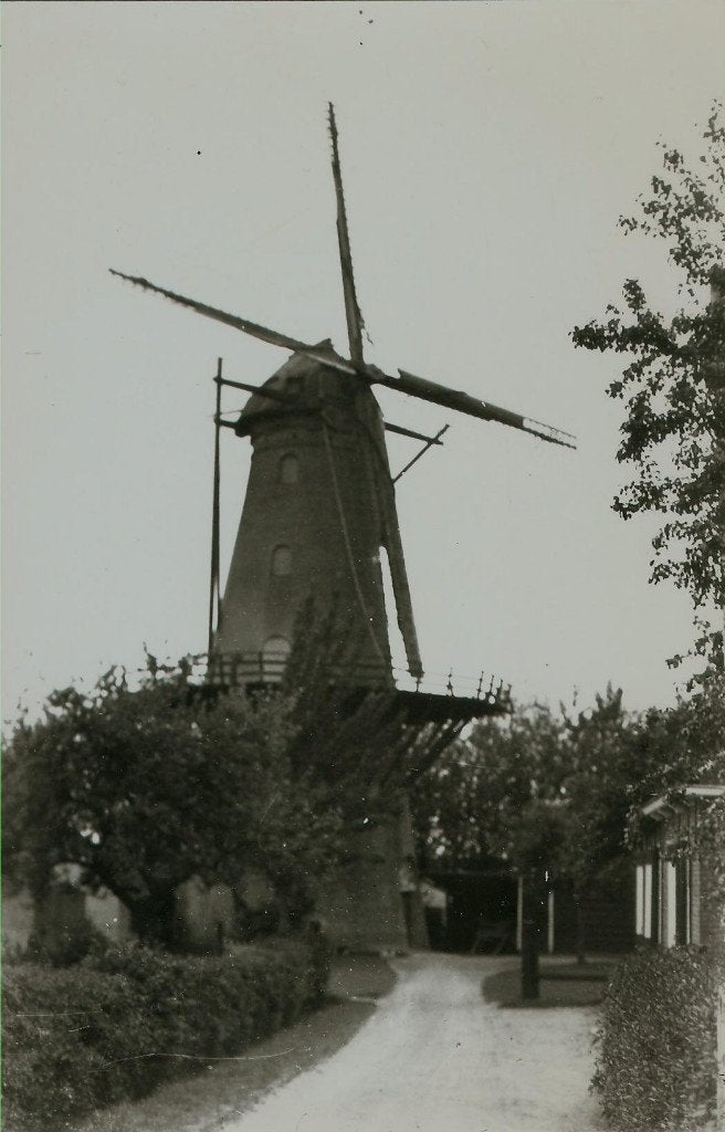 Heinkenszand molen Rijk foto ca. 1925 afdruk ca. 1975, Ophalen of Verzenden, 1960 tot 1980, Ongelopen, Zeeland