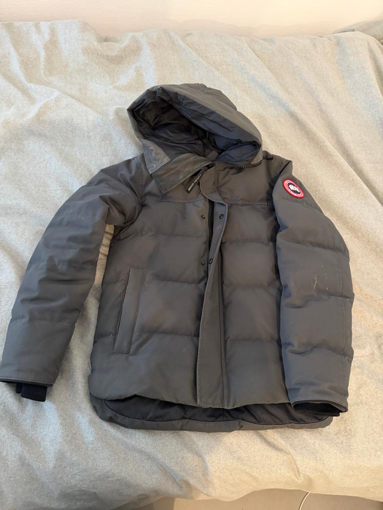 Canada Goose macmillan grijs - Maat S, Kleding | Heren, Ophalen of Verzenden, Zo goed als nieuw, Grijs