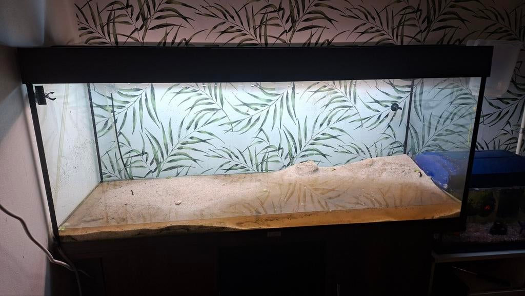 Juwel Rio 240 LED Aquarium LEEG, inclusief kast., Dieren en Toebehoren, Vissen | Aquaria en Toebehoren, Ophalen, Gebruikt, Gevuld zoetwateraquarium