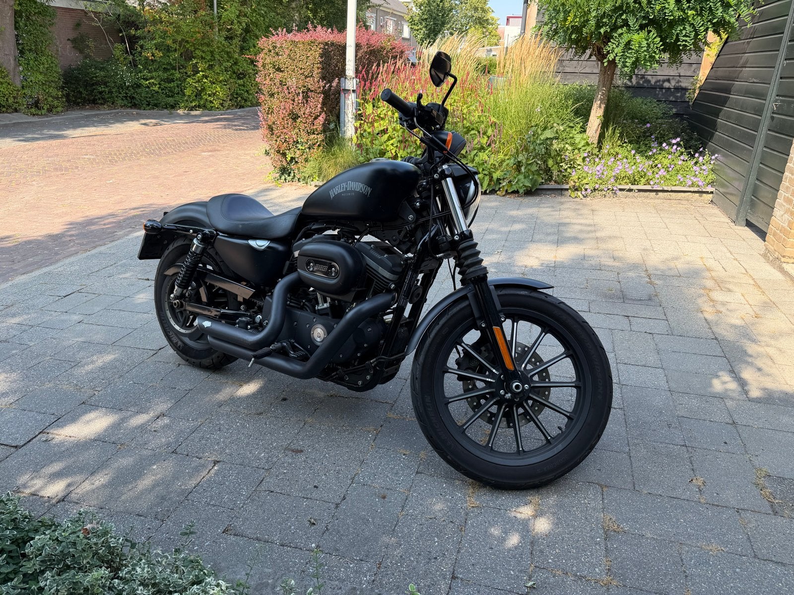 Harley Davidson IRON 883 - Stoere en  betrouwbare cruiser, 2 cilinders, Occasion, Particulier, Meer dan 35 kW