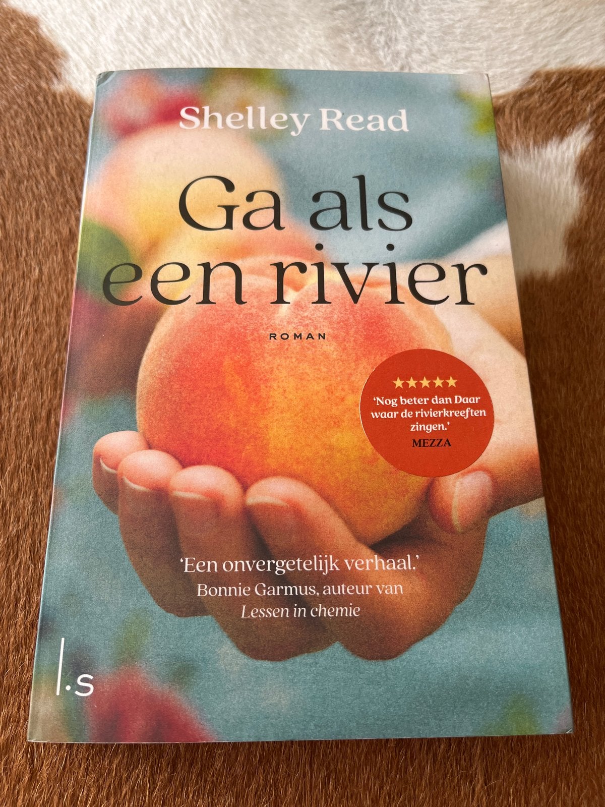 Ga als een rivier - Shelley Read (Roman), Boeken, Romans, Verzenden, Gelezen, Amerika