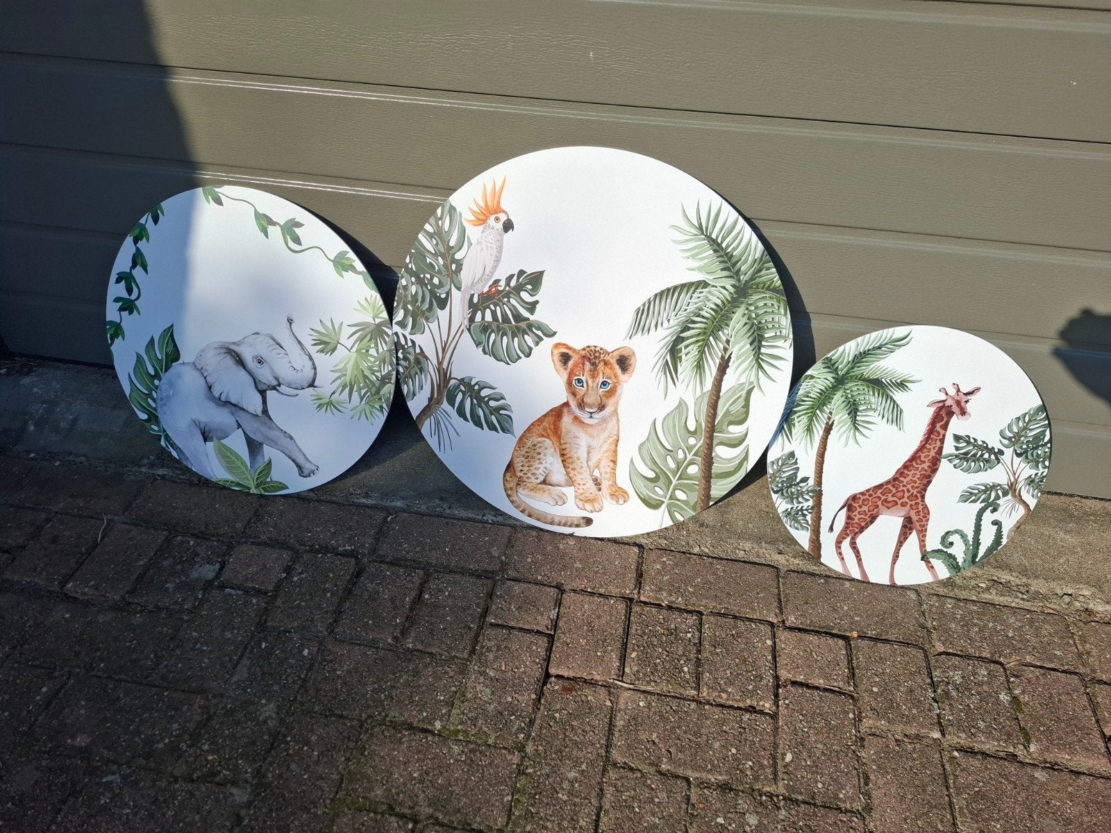 Set van 3 Wandcirkels met Safari Dieren - Forex, Ophalen, Meerkleurig, Zo goed als nieuw, Kunststof