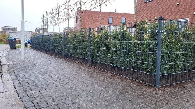 62.5 meter dubbelstaafmat hekwerk 8-6-8, H=120 centimeter!, Ophalen, S, Nieuw, Dubbelstaafmat hekwerk