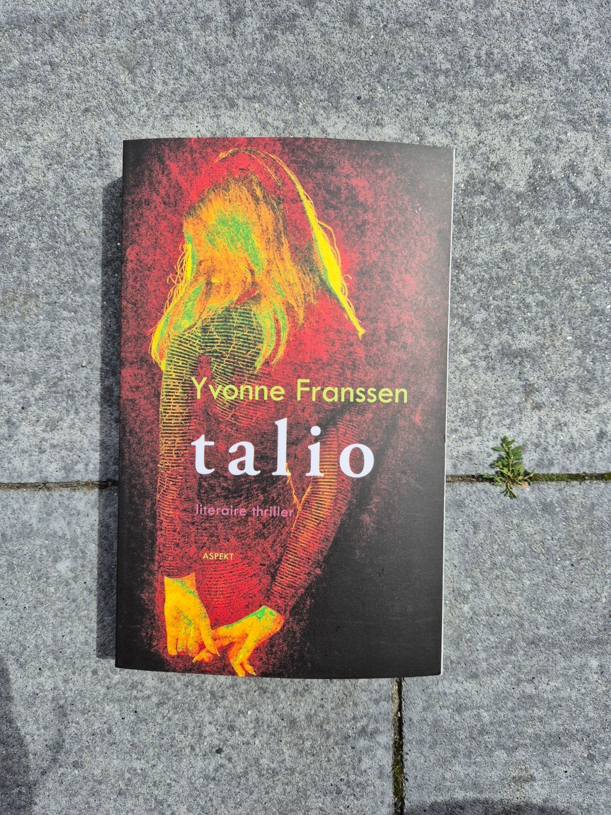 Yvonne Franssen - Talio, Ophalen of Verzenden, Zo goed als nieuw, Yvonne Franssen