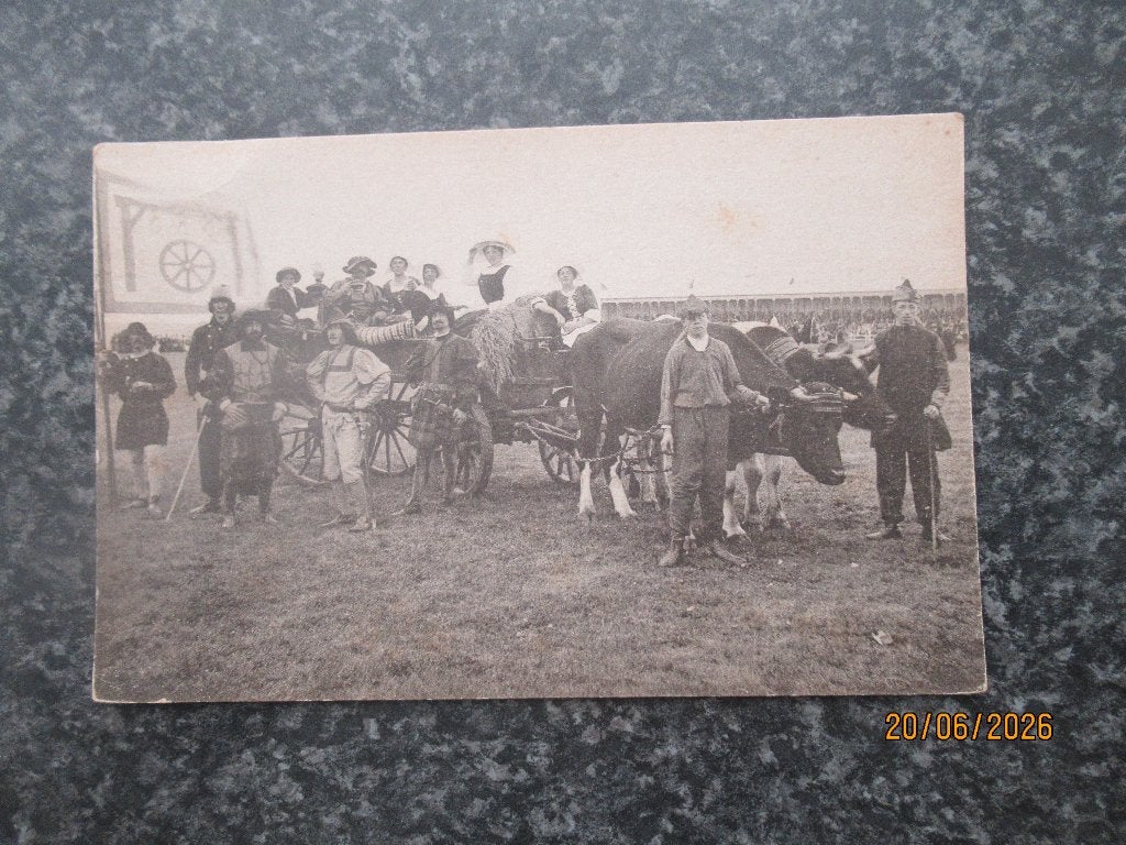 KAART- NATIONAAL HISTORISCHE OPTOCHT -S GRAVENHAGE-1913, Ophalen of Verzenden, Voor 1920, Feest(dag)