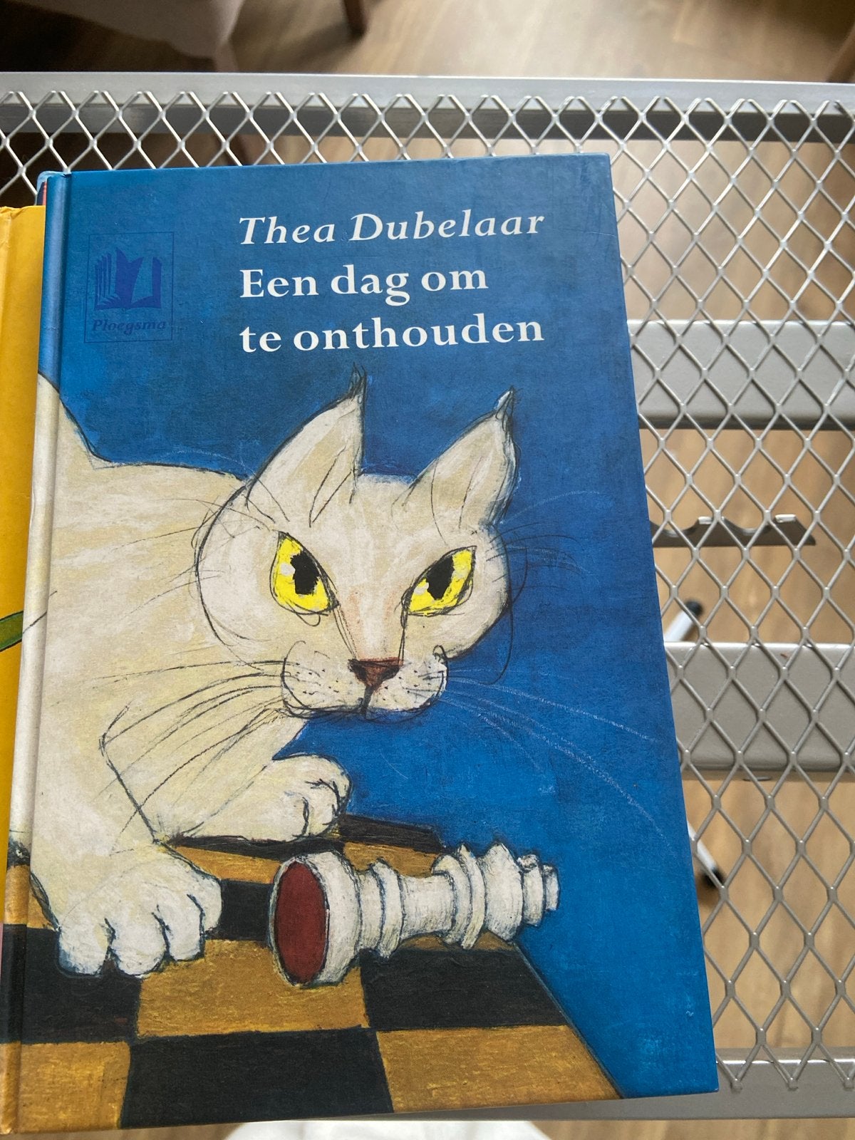 Thea Dubelaar - Een dag om te onthouden, Ophalen of Verzenden, Zo goed als nieuw, Fictie algemeen