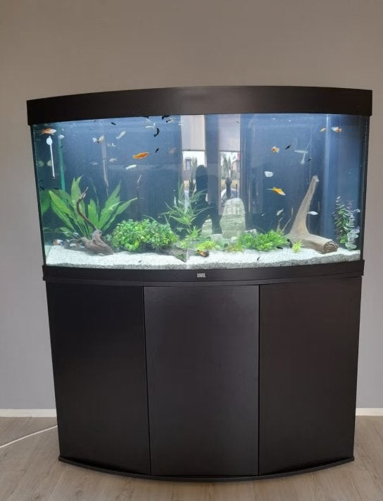 Grote mooie juwel aquarium, veel extra's ( niet gratis ), Ophalen, Gebruikt, Inclusief vissen, Gevuld zoetwateraquarium