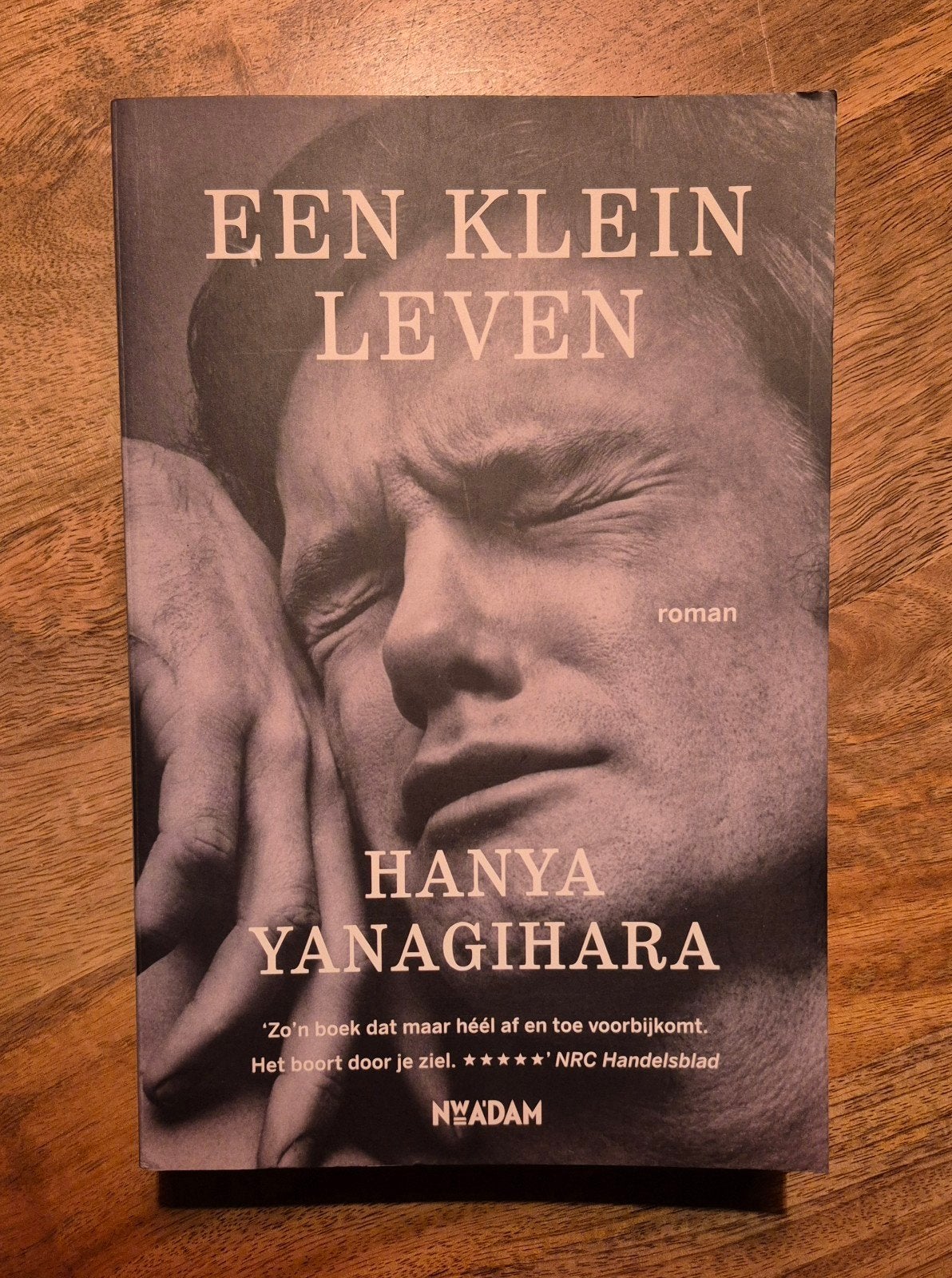 Een klein leven - Hanya Yanagihara (roman), Boeken, Ophalen of Verzenden, Zo goed als nieuw, Hanya Yanagihara, Nederland