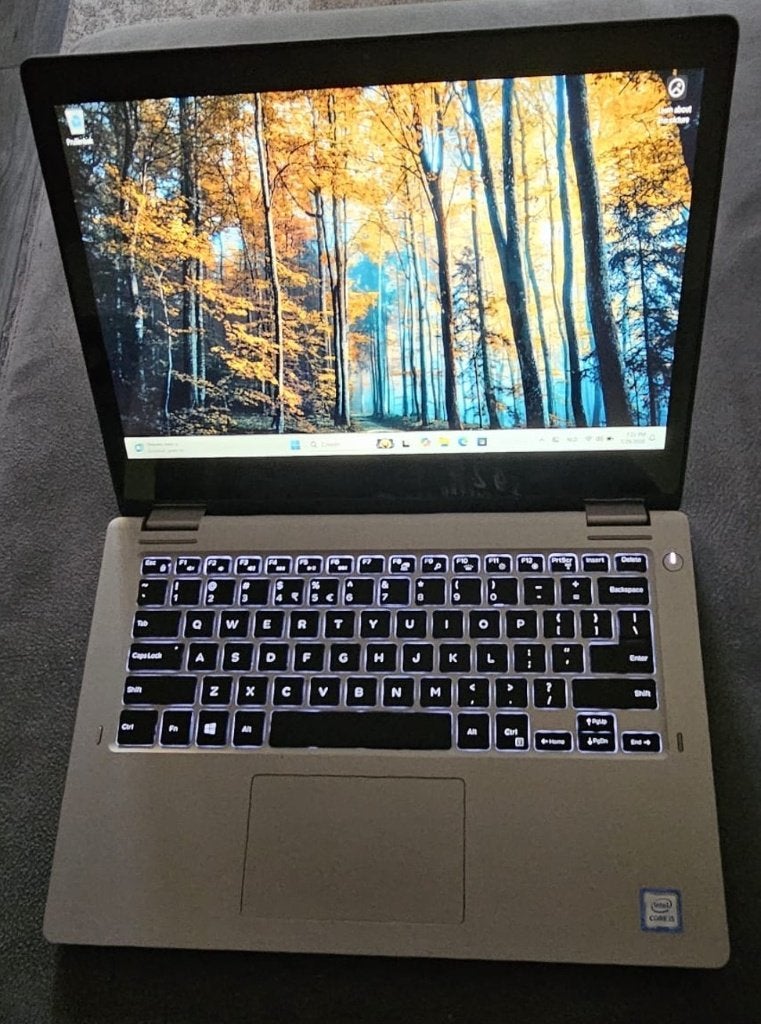 Dell Latitude 3310, met Windows 11 Professional, 2 in 1, 256 GB, 8 GB, 13 inch, Ophalen of Verzenden