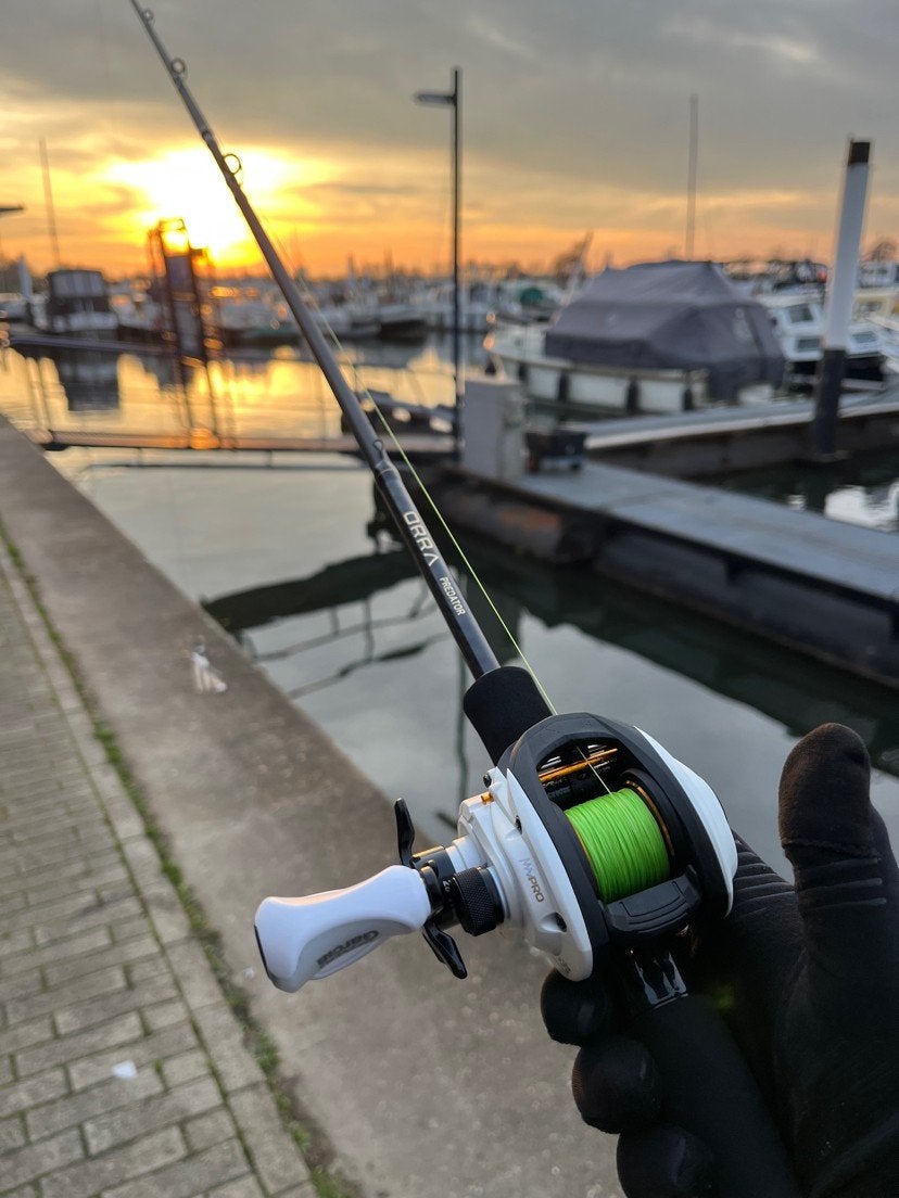 Abu Garcia ORRA Predator hengel met caitcaster, Watersport en Boten, Ophalen of Verzenden, Zo goed als nieuw, Complete set