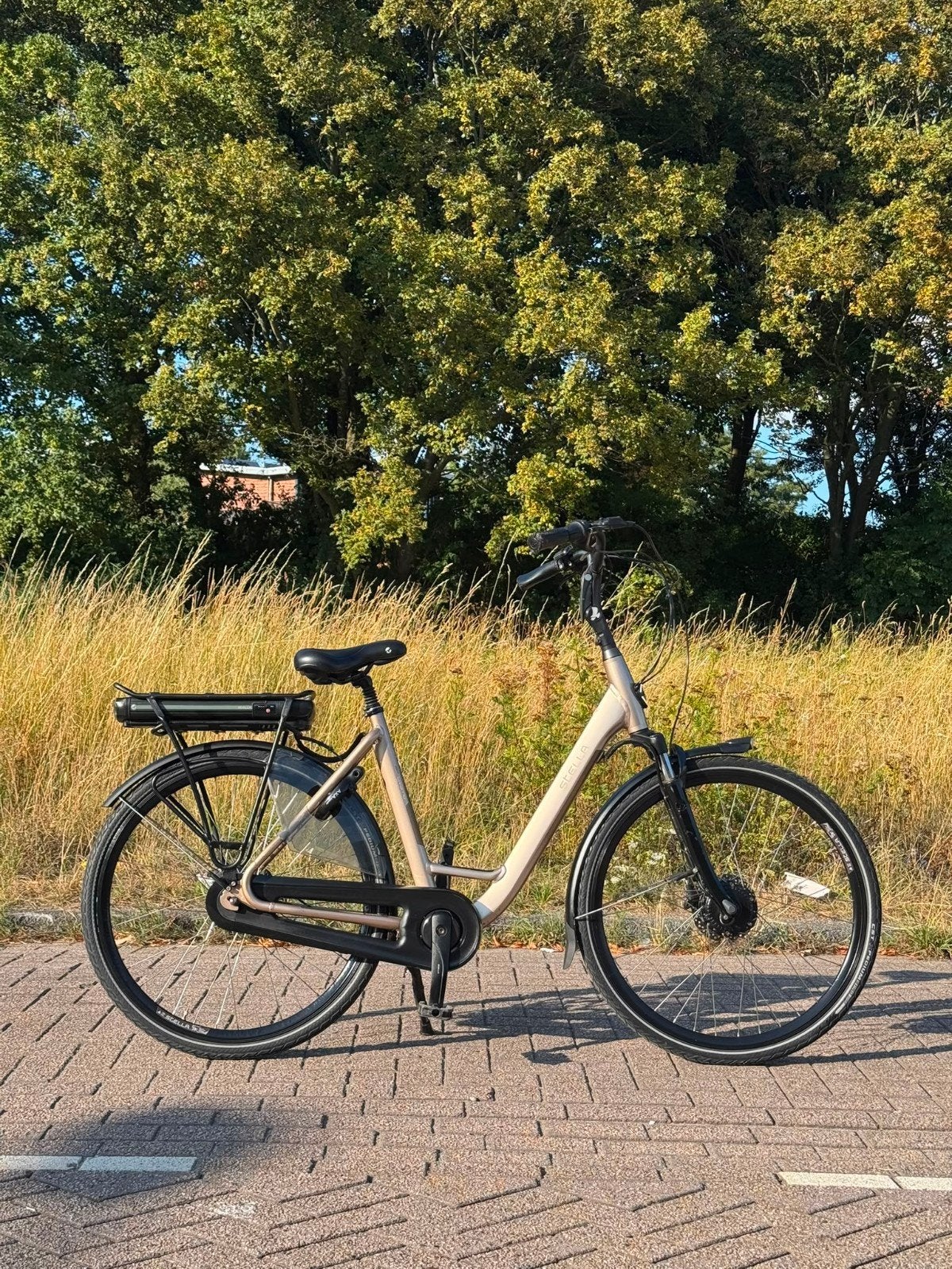 Stella Livorno Dames Elektrische Fiets, Ophalen, Zo goed als nieuw, Overige merken