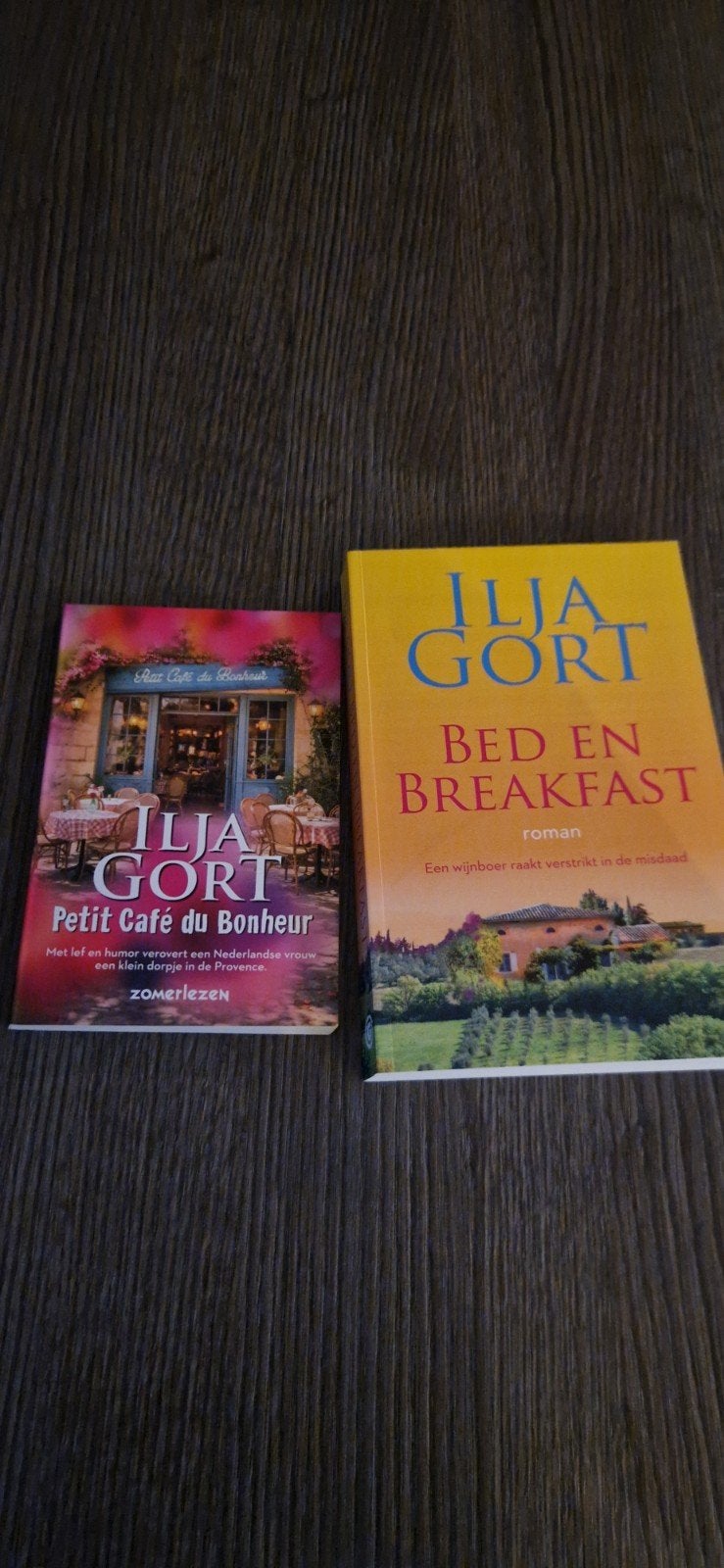 boek ilja gort bed and breakfast, Ophalen, Gelezen, Ilja Gort