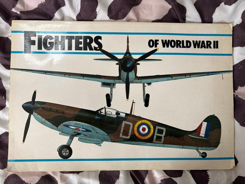 Fighters of World War II - Boek over gevechtsvliegtuigen, Ophalen of Verzenden, Tweede Wereldoorlog, Gelezen, Luchtmacht