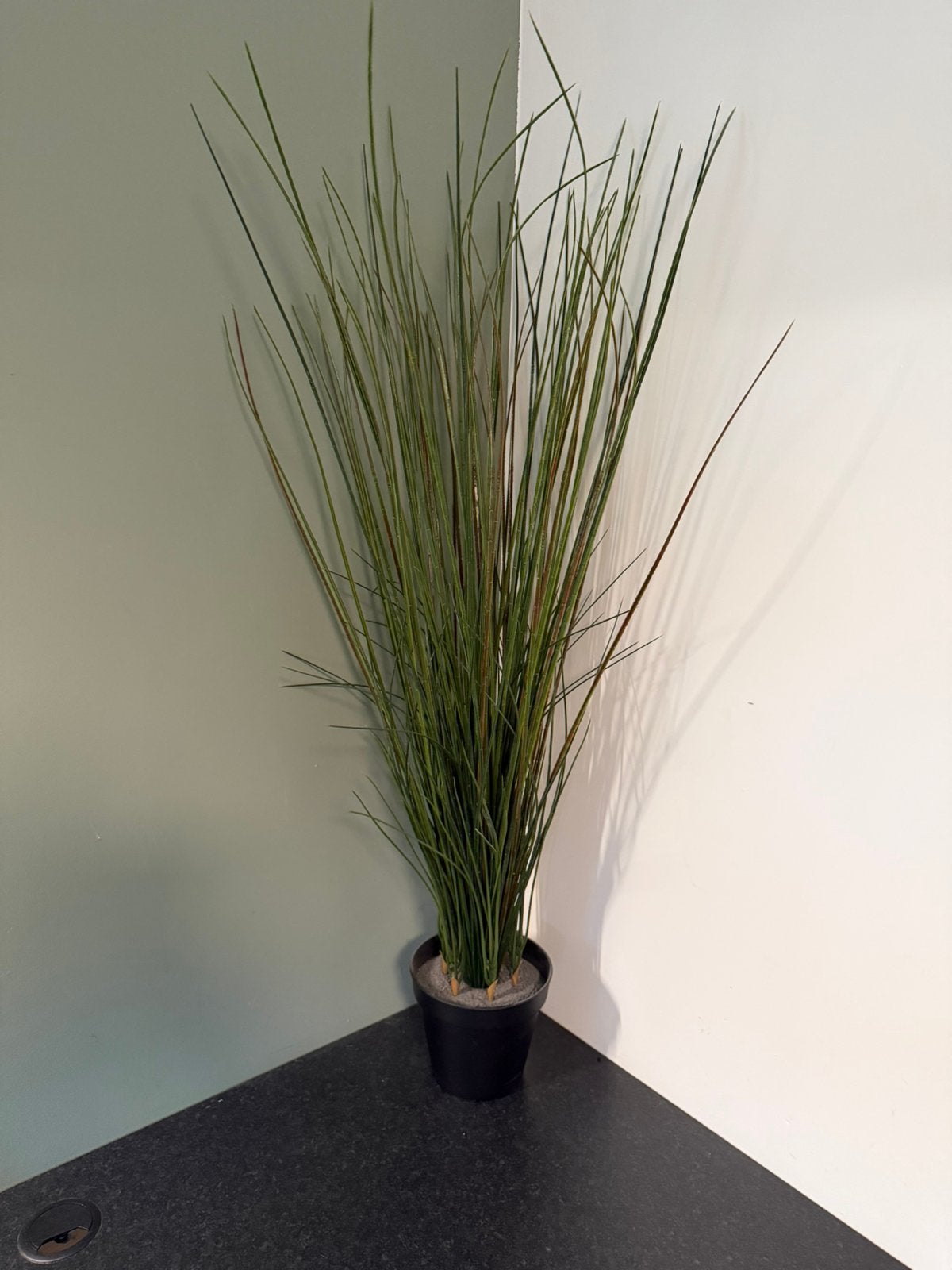 FEJKA Kunstplant, gras,, Ophalen, Overige soorten, Volle zon