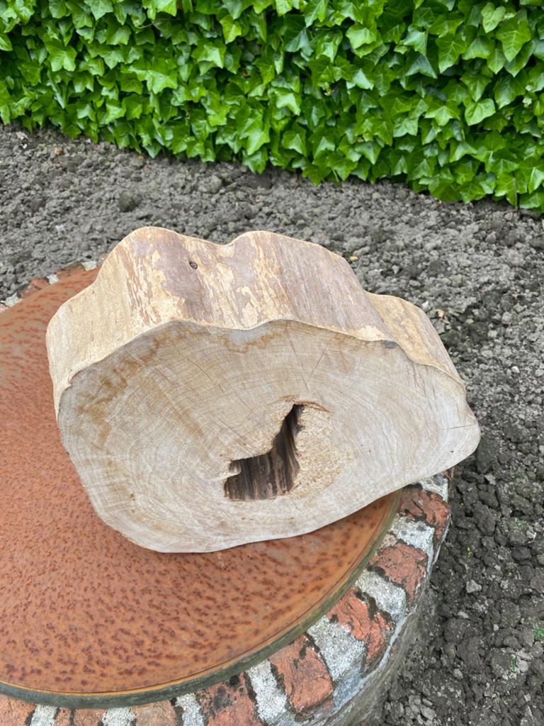 Decoratieve Houten Schijf - Natuurlijke Boomstam Plak, Ophalen, Hout, Gebruikt, Landelijk