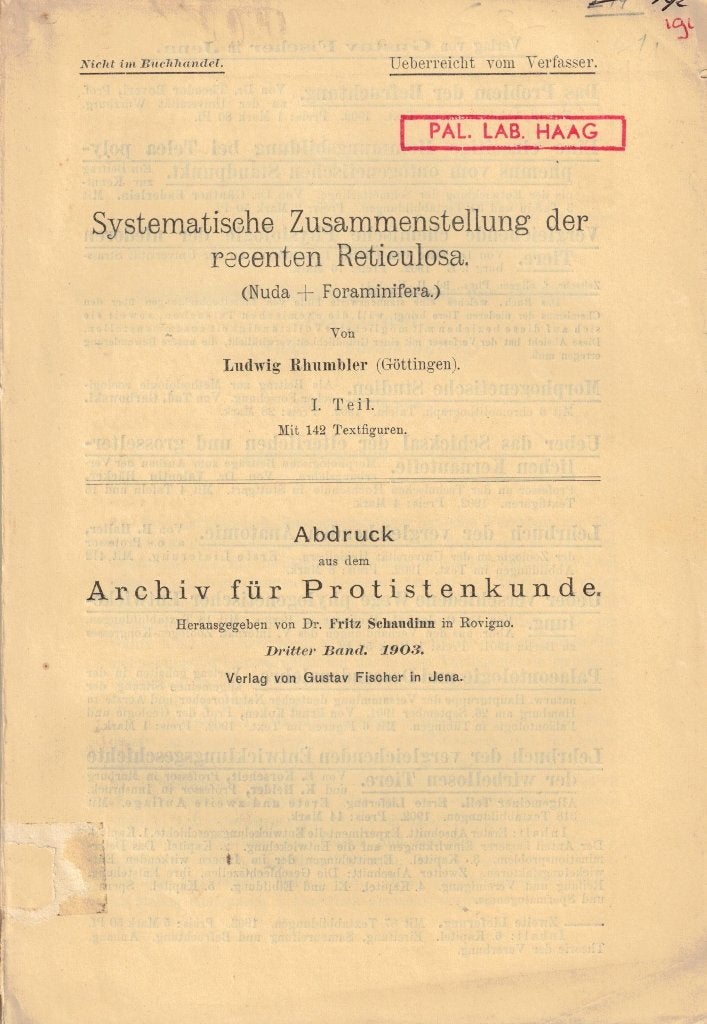 Systematische Zusammenstellung der recenten Reticulosa, Gelezen, Ludwig Rhumbler, Overige wetenschappen, Ophalen of Verzenden