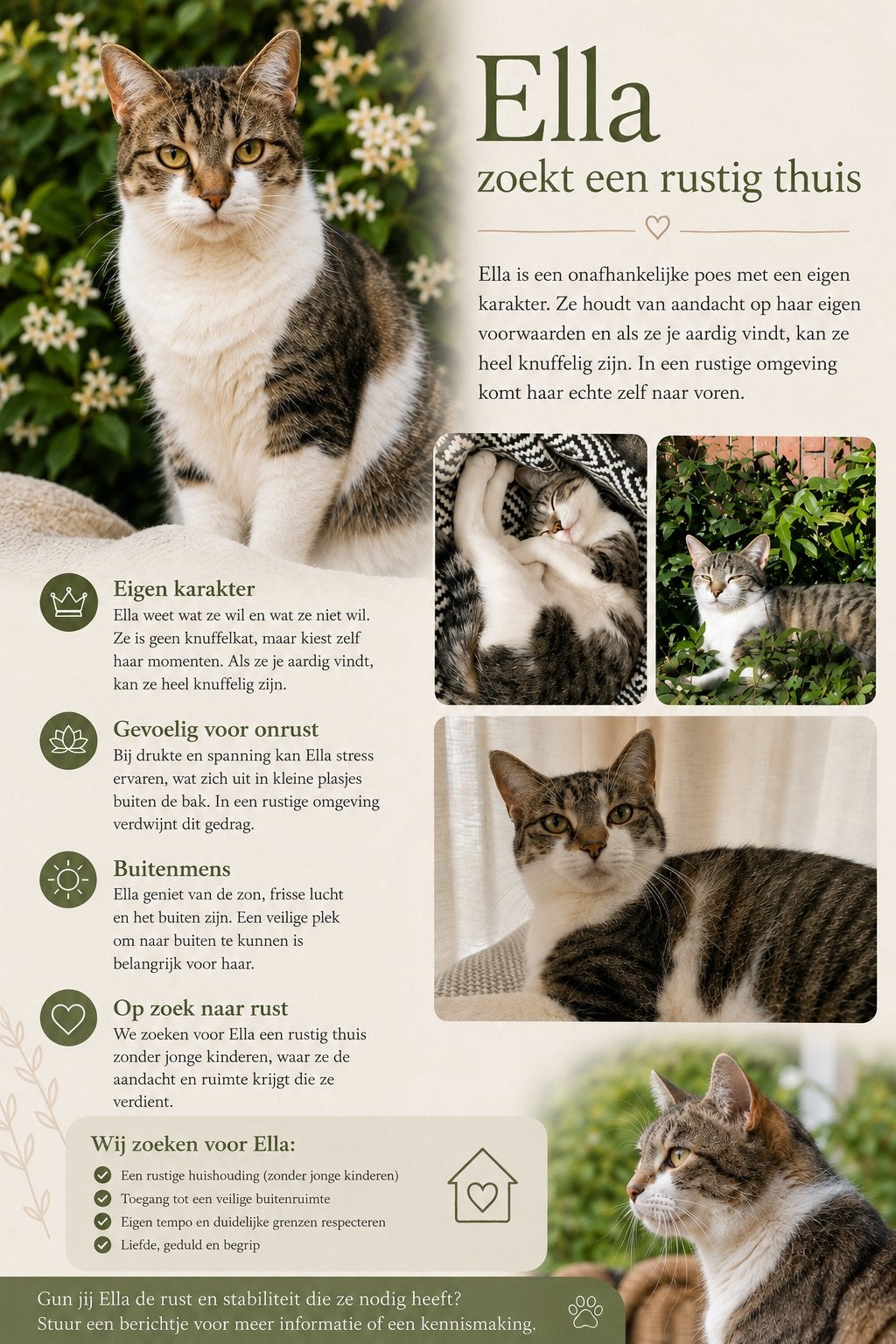Poes zoekt een nieuw huisje, Poes