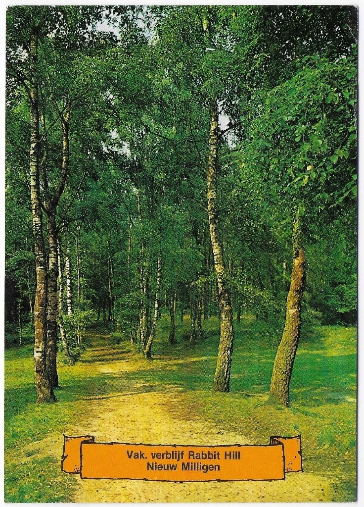 Nieuw Millingen gelopen Ansichtkaart ( B2617 ), Ophalen of Verzenden, 1980 tot heden, Gelopen